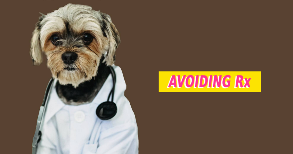 Dog wearing a stethoscope and lab coat.