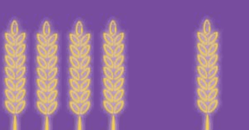 Stylized shafts of wheat.
